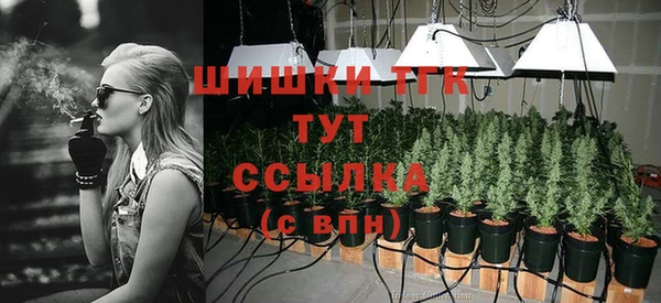 ГАЛЛЮЦИНОГЕННЫЕ ГРИБЫ Аркадак