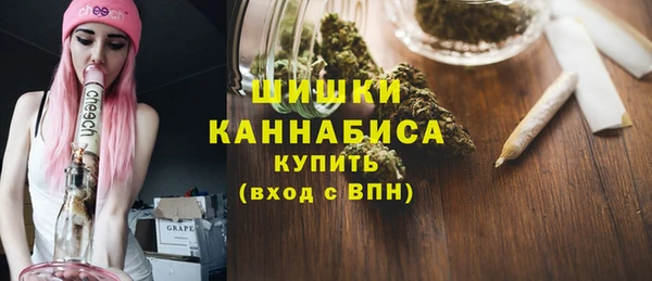 ГАЛЛЮЦИНОГЕННЫЕ ГРИБЫ Аркадак