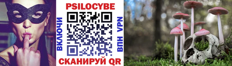 Купить закладки  Венёв  Псилоцибиновые грибы мухоморы 